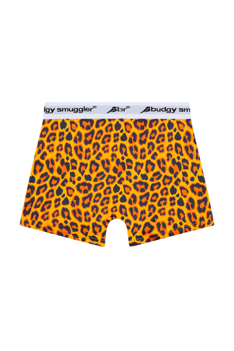 Premium Printed Underwear in  Leopard