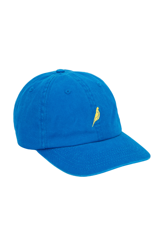Dad Cap in Budgy Blue