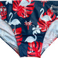 Sydney Roosters Flamingos Edition