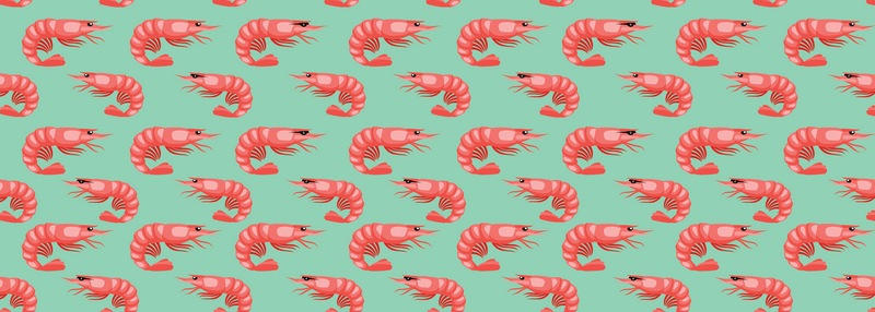 Prawn Print