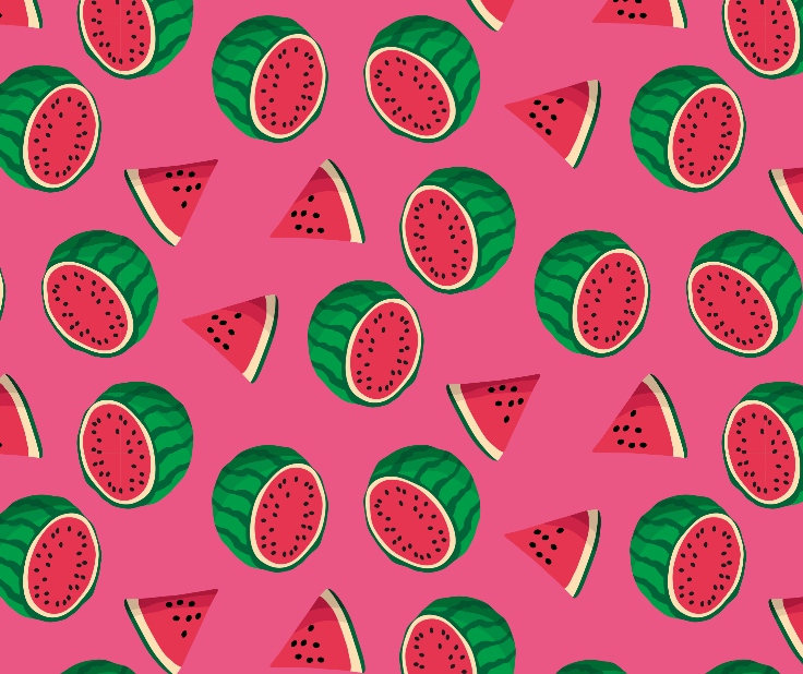 Watermelon Print – Budgy Smuggler Australia