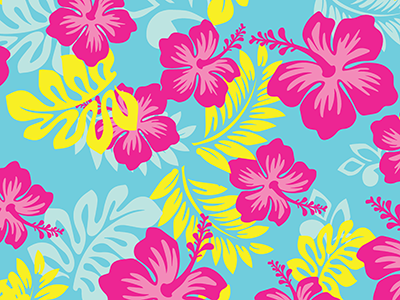 Hawaii 5ohs Print