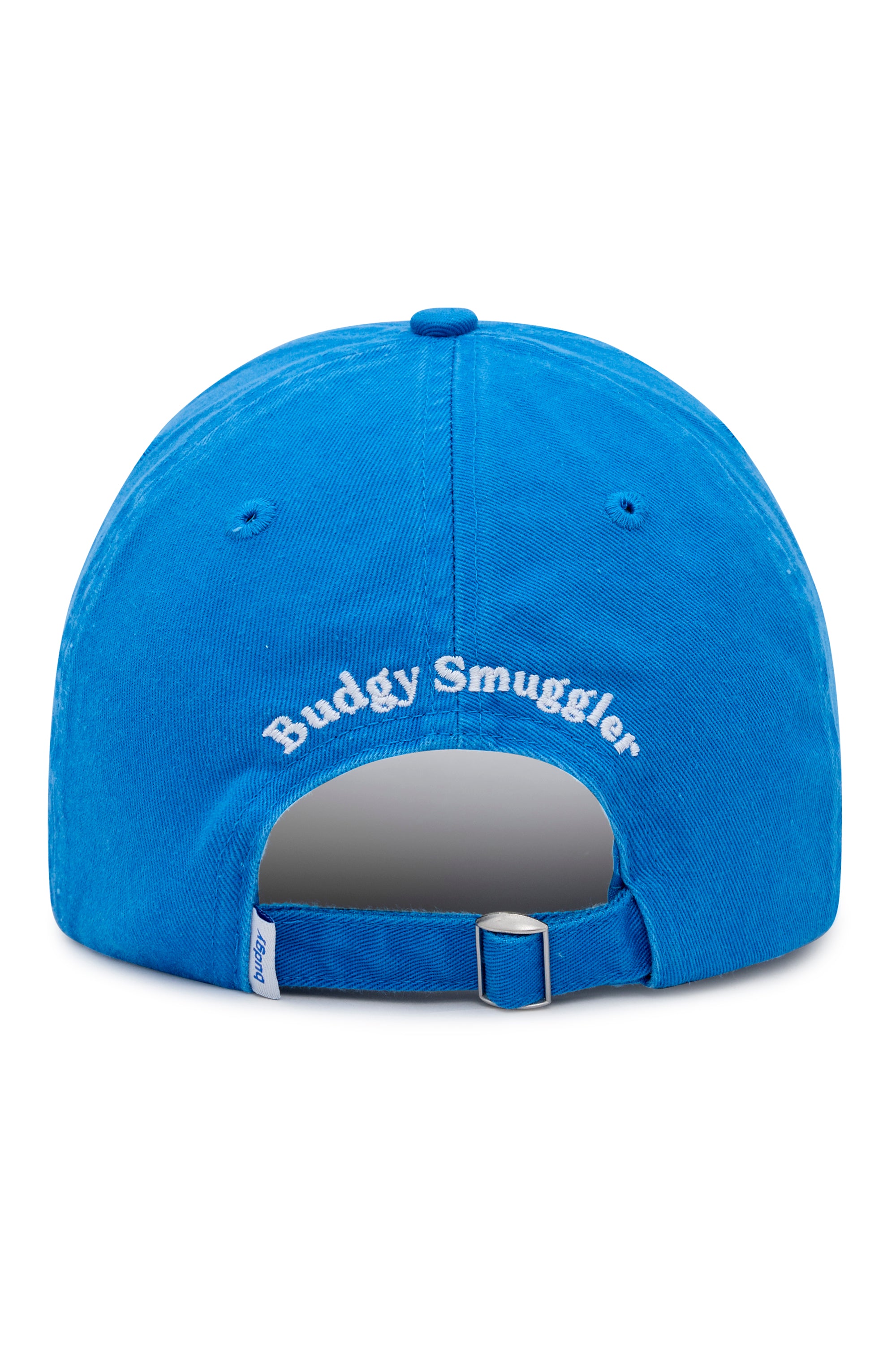 Dad Cap in Budgy Motel