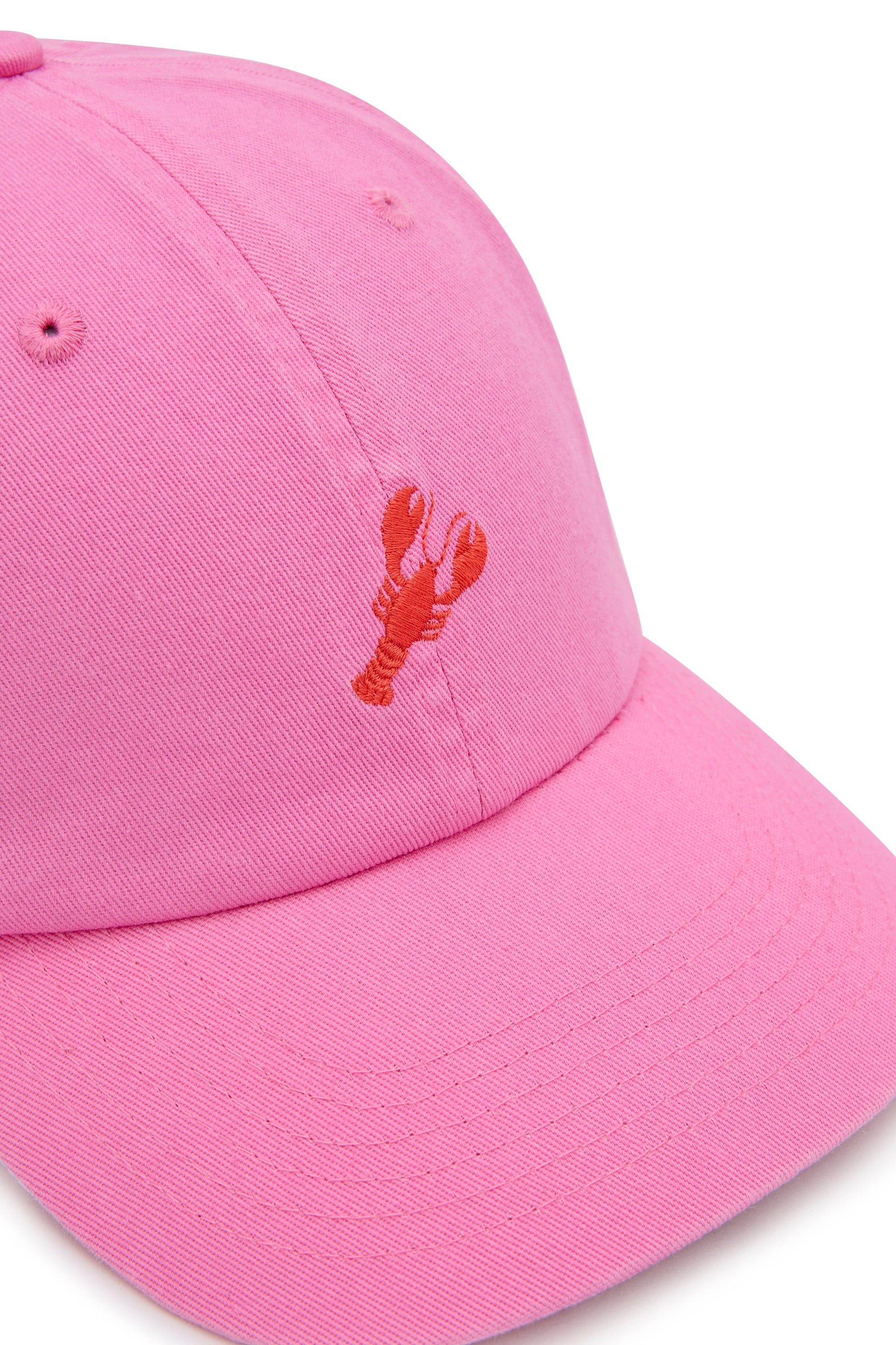 Dad Cap in Lobster