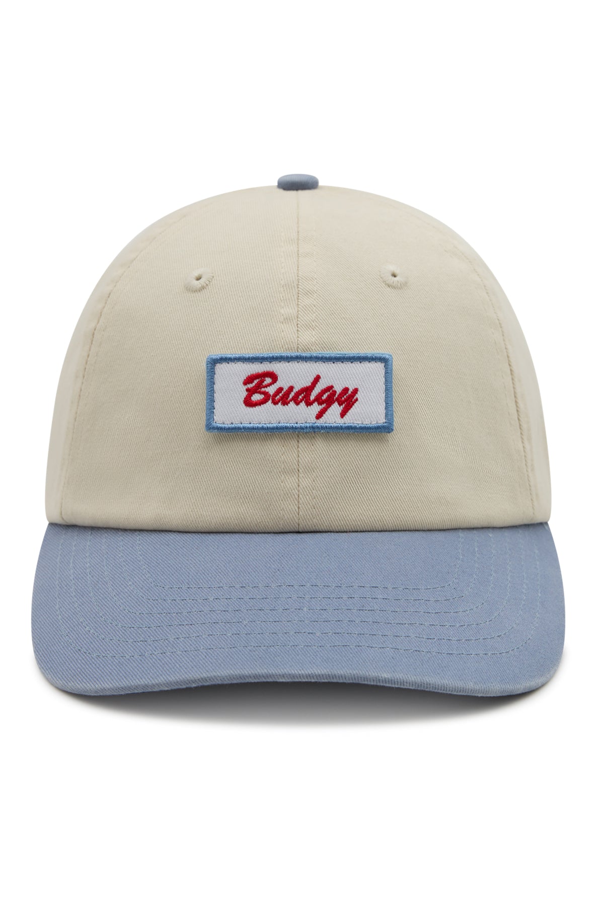 6 Panel Snap Back in Light Blue Budgy Patch