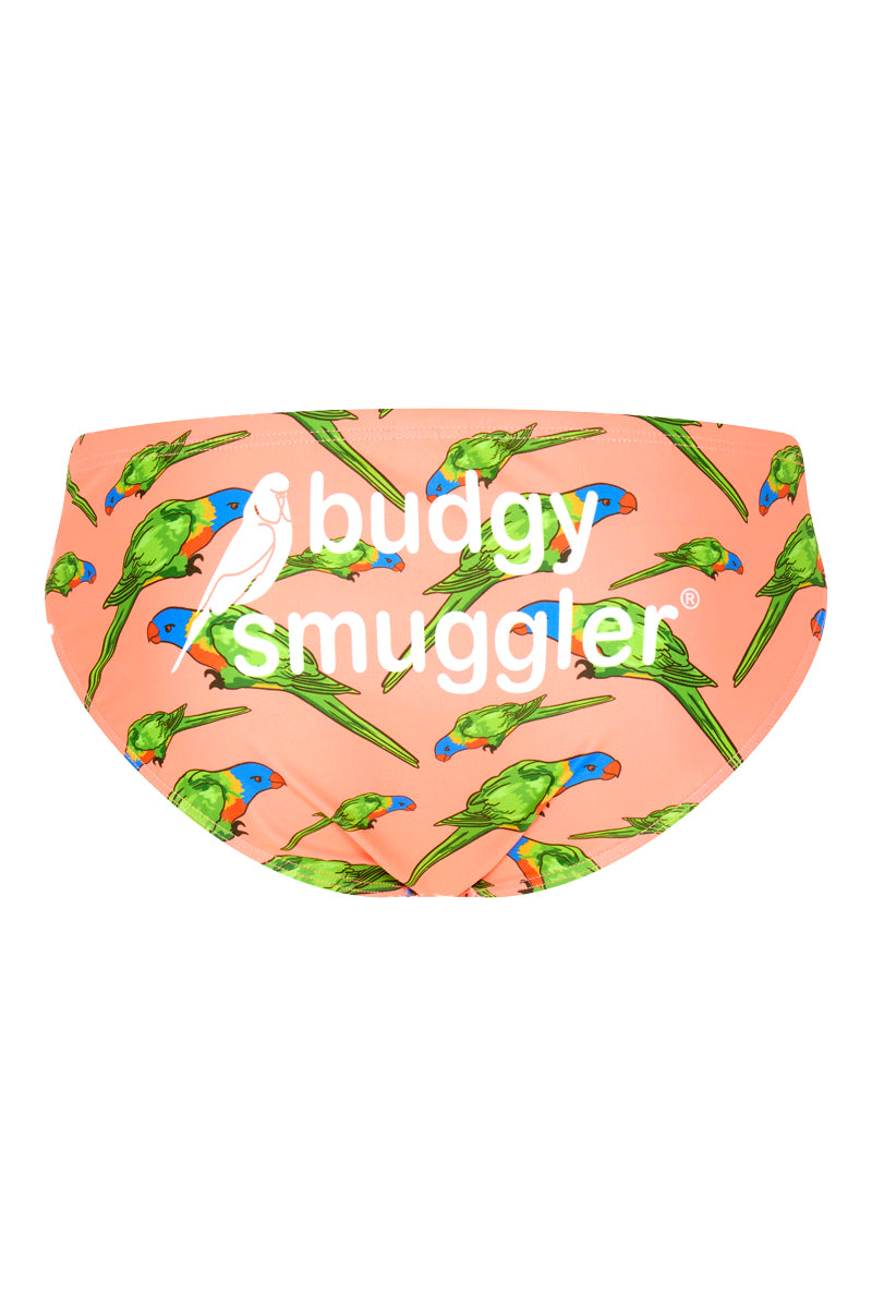 Budgy Smuggler Australia