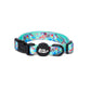 Pet Collar in Mr Motivator