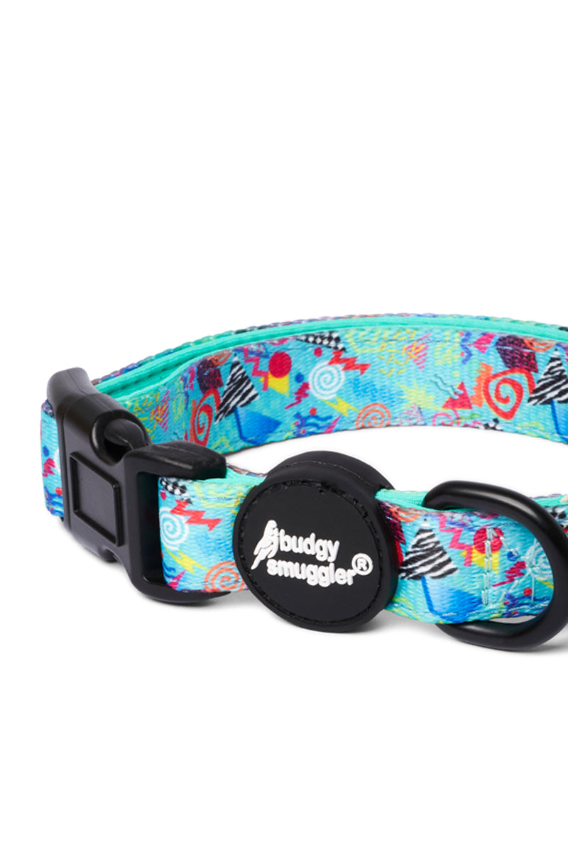 Pet Collar in Mr Motivator