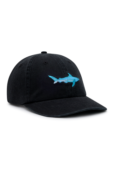 Dad Cap in Sharkie