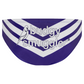 Fremantle Dockers