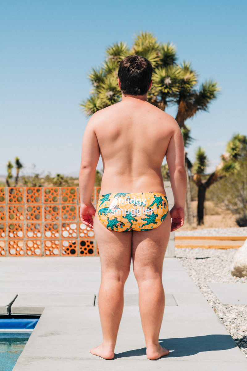 Flat Out like a Lizard Drinking