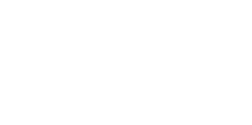 Budgy Smuggler Australia