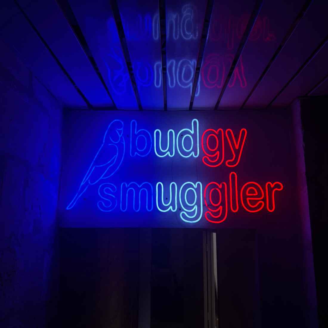 Budgy Smuggler Australia