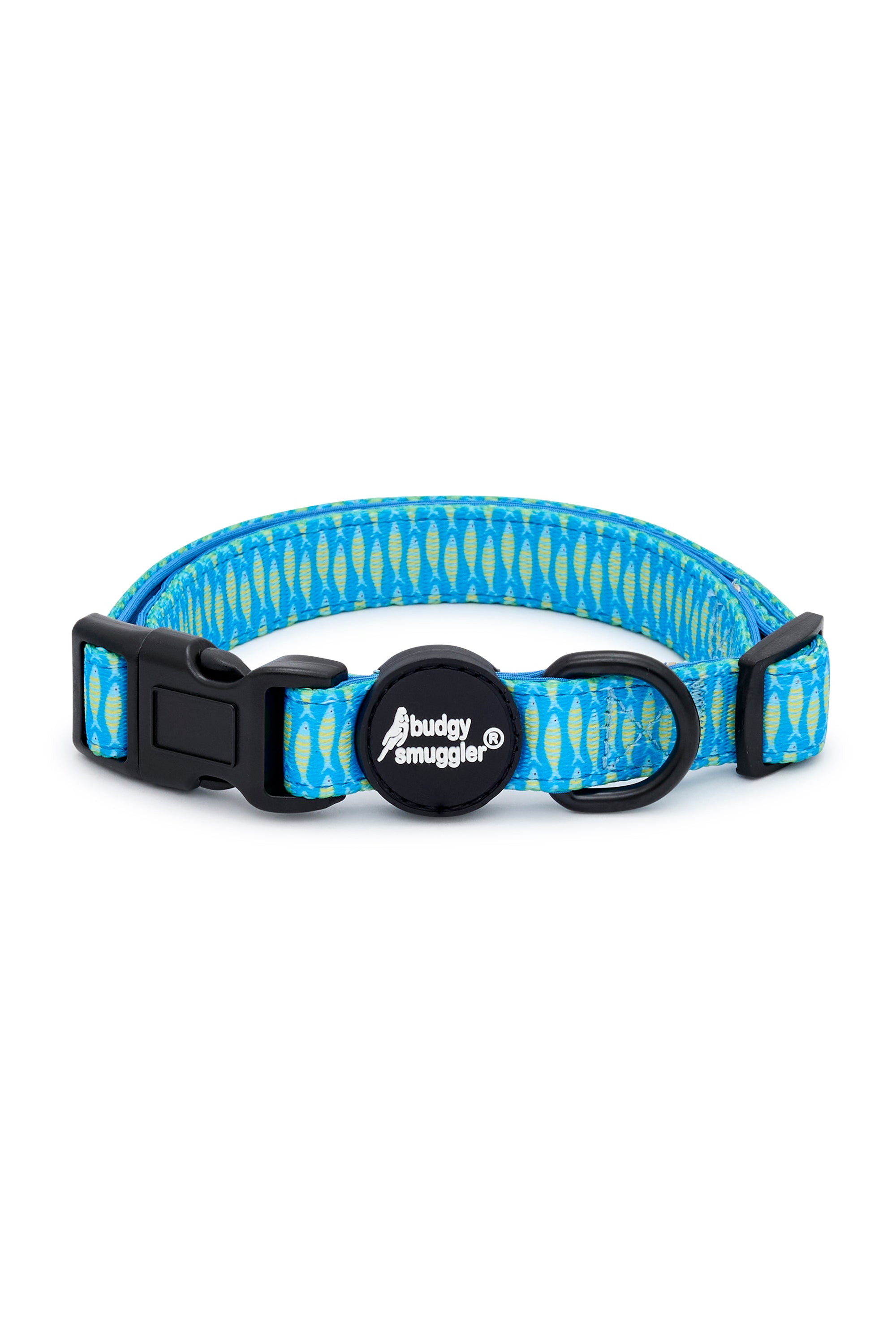 Pet Collar in Sardines