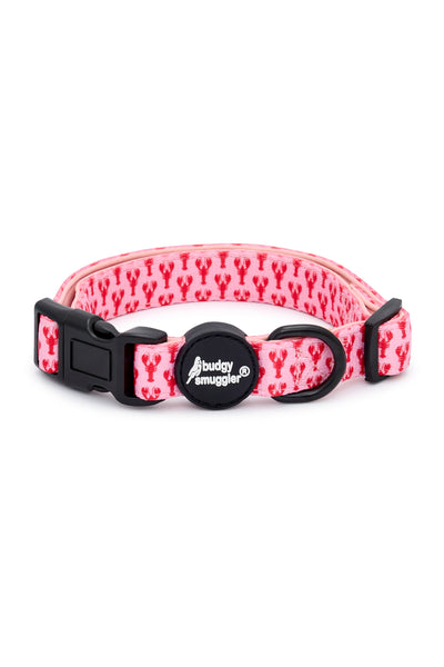 Pet Collar in Pink Lobsters