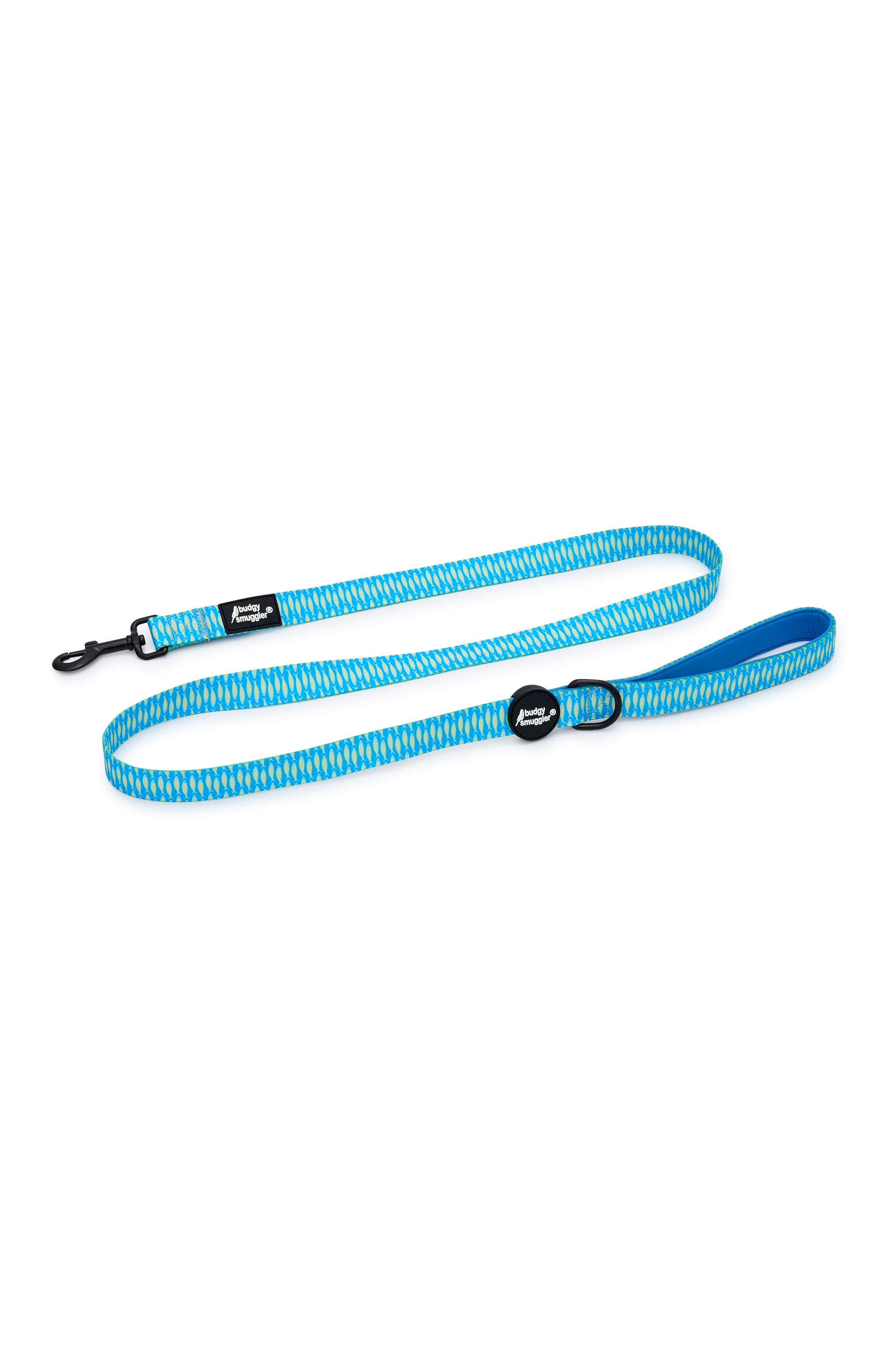 Pet Leash in Sardines