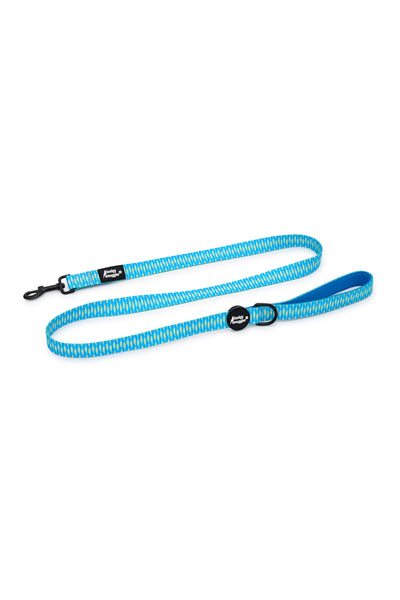 Pet Leash in Sardines