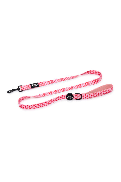 Pet Leash in Pink Lobsters