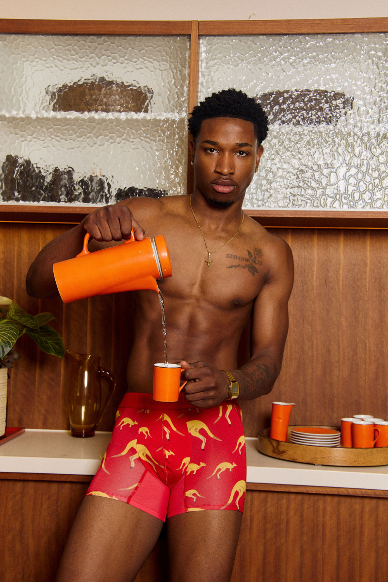 Premium Underwear (2.0) in The Hoppers