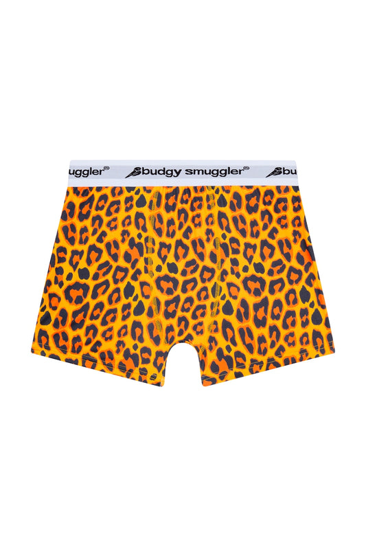 Underwear – Budgy Smuggler Australia