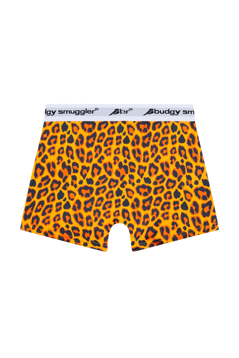 MENS UNDERWEAR LEOPARD DESIGN UNDIES BUDGY SMUGGLER AU Budgy