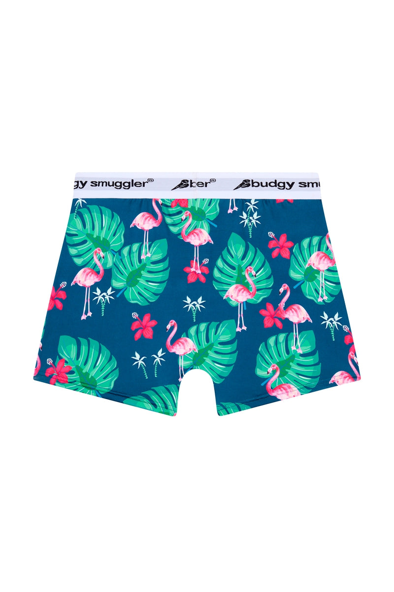 Premium Printed Underwear in Flamingos