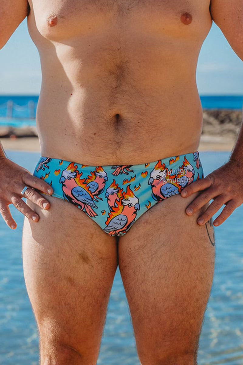 Front view of Flaming Galah men's swim briefs, pink galahs with flames on an aqua base