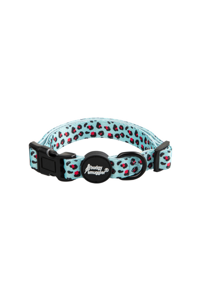 Pet Collar in Neon Jungle