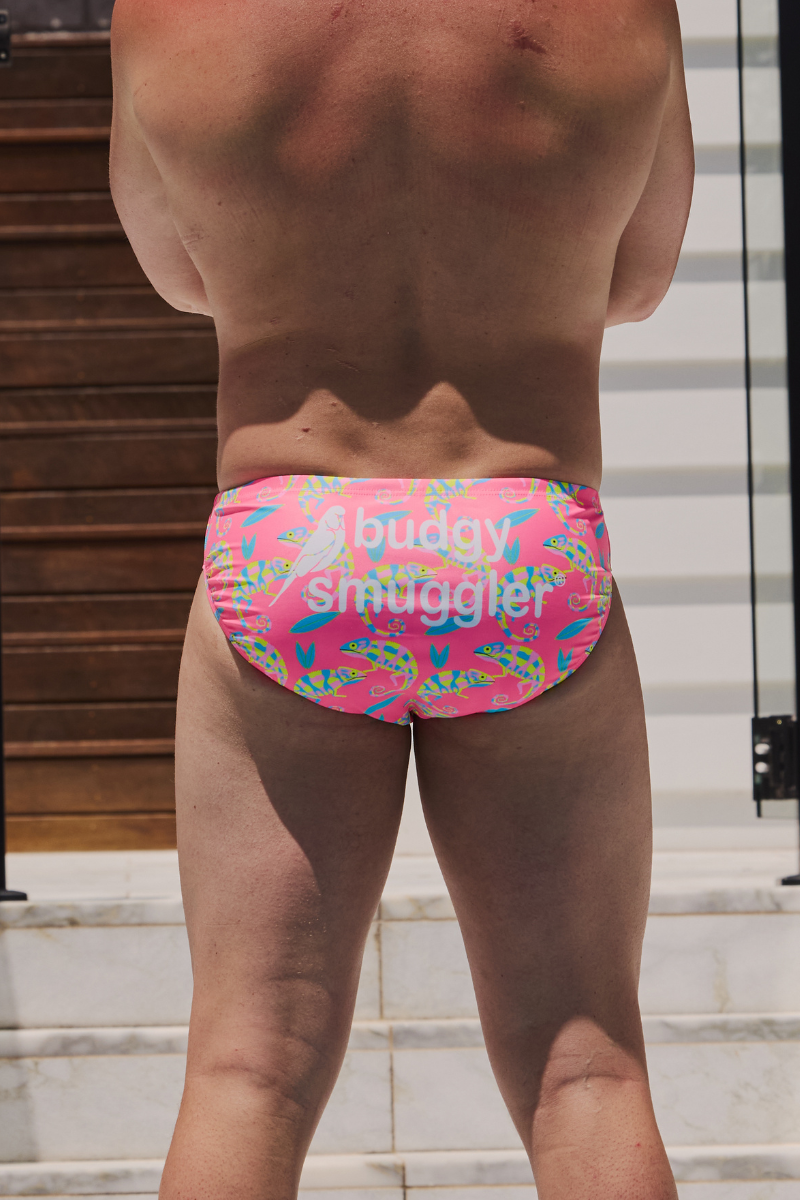 Budgy Smuggler Australia