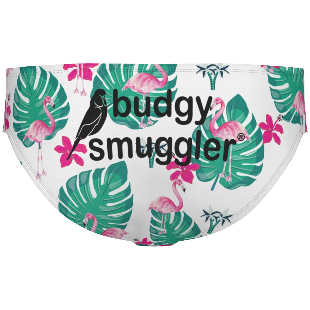 Budgy Smuggler Australia